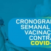 Cronograma de vacinação contra Covid-19 